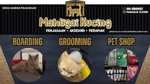 Mahligai kucing
