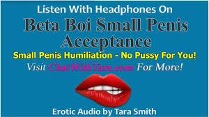 Beta Boi Small Penis Acceptance & Humiliation No Pussy For You Erotic Audio  by Tara Smith SPH Tease