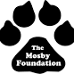 The Mosby Foundation 5K Run event in Staunton, VA