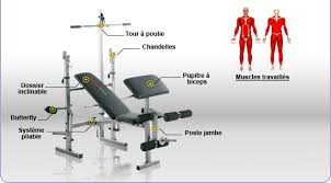 Fitnessboutique La Marque Reference Du Fitness Et Musculation En France