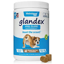 Maybe you would like to learn more about one of these? Best Dog Digestive Remedies Buying Guide Gistgear