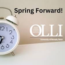 Olli