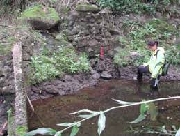 FIELD INVESTIGATION REPORT