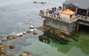 Jump to navigation jump to search. 5 Things To Do With 24 Hours In Monterey California Triangle Around Town