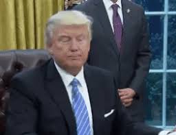 Trump Gif Generator Will Let You Make Everything Illegal