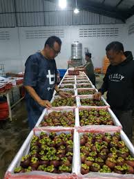 Check spelling or type a new query. Kementan Siap Perkuat Ekspor Produk Hortikultura Ditengah Pademi Covid 19 Pontas