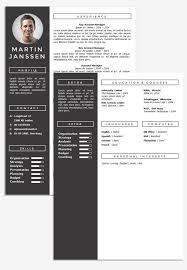 A cv is detailed work experience and it should reflect like that. Cv Template 2nd Page Go Sumo Cv Template