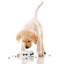 Before heading to your local pet store, we suggest you call in advance to confirm that the selected store has what you're looking for in stock. Natural Puppy Treats The Natural Pet Store