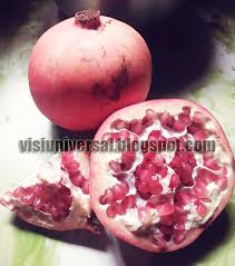 Batu merah delima adalah jenis batuan yang dipercaya memiliki khasiat dan manfaat untuk pemakainya , jenis yang asli atau palsu dapat dilihat dari warnanya. Inilah Manfaat Buah Delima Merah Atau Red Pomegranate Visiuniversal