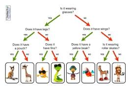 Sorting Animals Resources Teaching Ideas