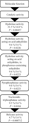 Selection On Oxidative Phosphorylation And Ribosomal Structure As A Multigenerational Response To Ocean Acidification In The Common Copepod Pseudocalanus Acuspes De Wit 2016 Evolutionary Applications Wiley Online Library 39 results for steinhart watch. wiley online library
