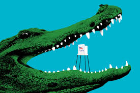 What is a neon parrot worth in adopt me. Who Gets To Vote In Florida The New Yorker