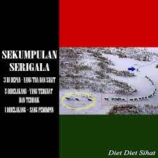 Diet Diet Sihat 3 Kepimpinan Sekumpulan Serigala Diet Poster Movie Posters