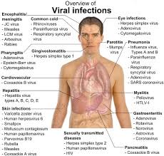 Medictests Com The Leader In Nremt Exam Prep Medical Knowledge Medical Education Medical