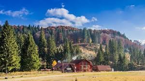 Cat CostÄƒ O CasÄƒ De VacanÈ›Äƒ La Munte Cele Mai Bune Oferte