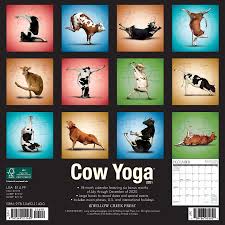 Shop yoga calendars from cafepress. Cow Yoga 2021 Calendar Willow Creek Press Amazon De Bucher