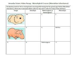 Please verify that you (1) can access th The Study Of Genes Traits And Heredity Ppt Download