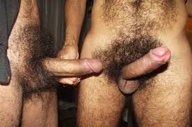 Hairy Dick - 50 porn photo