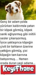 Aglayan Kopek Ve Degisim Korkumuz Dogs Animals