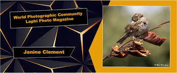 Un petit détour par la Tempête Darragh !