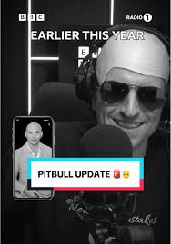 Greg James at Pitbull