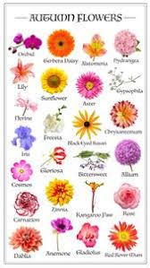 We did not find results for: Avas Flowers Avasflowers Profile Pinterest