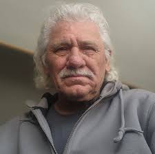 Can you hook solar blankets directly to a battery?