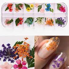 Nails, beauty tools, air brush, hair removal Buy 12 Colors Real Dry Flowers 3d Nail Art Accessories Nail Decor Diy Manicure At Affordable Prices Free Shipping Real Reviews With Photos Joom