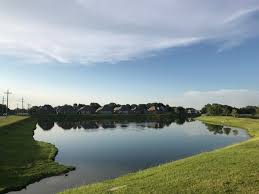 Retention ponds should be surrounded by natural vegetation to improve bank stability and improve aesthetic benefits. Retention Pond Vs Detention Pond Manuel Builders