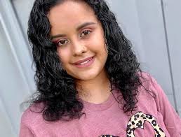 Annie Chun's All Natural Asian Cuisine