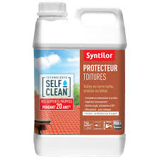 Revetement D Etancheite Toiture Self Clean Incolore 2 5l Syntilor Etancheite Toiture Toiture Et Etancheite
