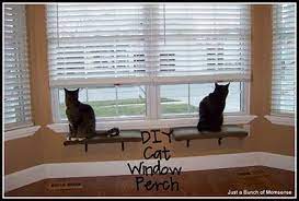 Cat Window Perch Cat Window Perch Cat Diy Cat Window