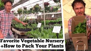 Place a free ad and find what you are looking for today! My Favorite Vegetable Nursery In Dfw Dallas How To Pack Plants Youtube