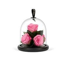 In miami we can also offer our 'the same day delivery' service when we can deliver a bouquet on the day of your order we guarantee that your nearest and dearest from miami will receive a beautiful bouquet. Luxury Roses Delivered In Beverly Hills Onlyroses