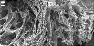 Is an independent auditor with office located in kuantan, pahang. Slow Release Fertilizer Hydrogels A Review Polymer Chemistry Rsc Publishing Doi 10 1039 C9py01036j