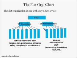 Business And Finance Lesson 7 Organizational Chart Tall Or Flat Learn English