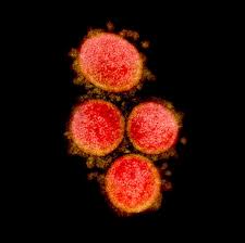 Corona Ne Demek Corona Virus Un Ilk Belirtileri Ne Iste En Net Goruntusu