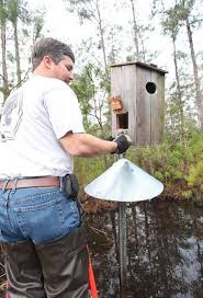 The barn duck house plans. Instructions For Building A Wood Duck House Hubpages
