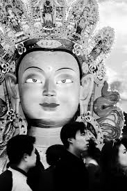 Livet är mening nog