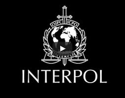 The above logo image and vector of interpol logo you are about to download is the intellectual property of the. Interpol Projects Photos Videos Logos Illustrations And Branding On Behance