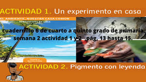 Semana 4 dia 3 del cuadernillo de 4to a 6to del mes 4, actividad 5 y 6, páginas 43, 44 y 45.#laprofetopacio #aprendemosencasa #minerd sígueme. Cuadernillo 6 De Cuarto A Quinto Grado De Primaria Semana 2 Actividad 1 Y 2 Pag 13 Hasta 15 Youtube