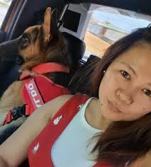 Good Morning po ‼️‼️ Mag tatanong lang po bat po kaya umiiri ang aso ko tas  may lumalabas na dugo. Wala naman pong sign na buntis sya and medyo  katandaan narin po