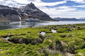 Image result for Bleu Fjord 1982 Fleet