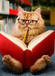 Cat Reading A Book And Wearing Glasses Cats Cute Animals Crazy Cats