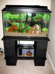 Author crowlinpublished on february 13, 2021february 13, 20211 comment on diy aquarium stand for a 100 gallon tank. 50 Diy Best Aquarium Stands With Plans In 2019