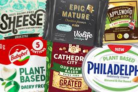 Best Vegan Cheese Alternatives for Lactose Intolerance