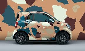 Pin By Waldy Eshuis On Smart Mercedes Smart Car Smart Fortwo Gone Book