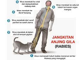 Intensitas dan frekuensi batuk, bicara, bersin, dll. Klinik Lathika Kota Sarang Semut Facebook