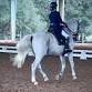 Orlando Dressage, Dressage Under the Oaks