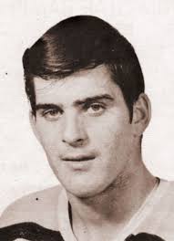 Mavericks HoKCey Fan